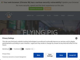 'flyingpig.nl' screenshot