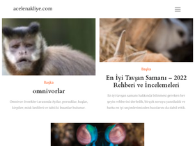 'acelenakliye.com' screenshot