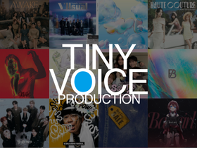 tinyvoice.com