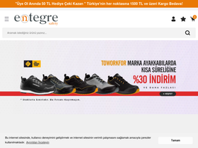 'entegresafety.com' screenshot