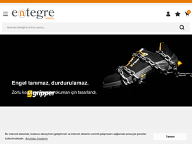 'entegresafety.com' screenshot