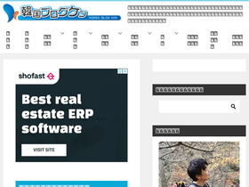 'bridgetokorea.net' screenshot
