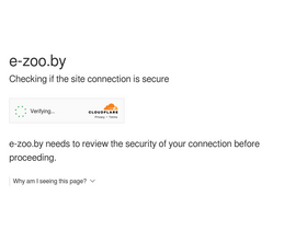 'e-zoo.by' screenshot