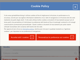 'grimaldifranchising.it' screenshot