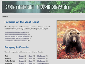 'northernbushcraft.com' screenshot