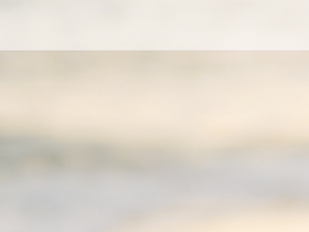 'loriamedical.com' screenshot