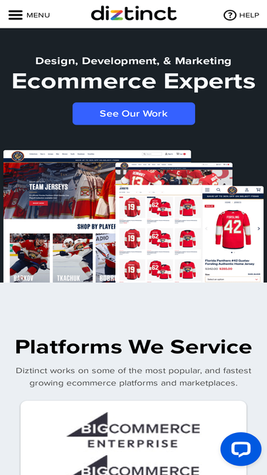 diztinct.com