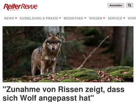 'reiterrevue.de' screenshot