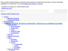 'coosur.com' screenshot