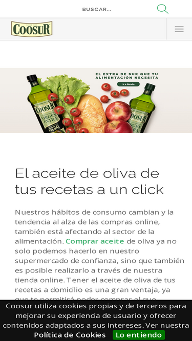 coosur.com