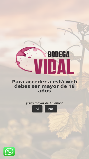 bodegavidal.com