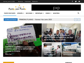 'puntoporpunto.com' screenshot