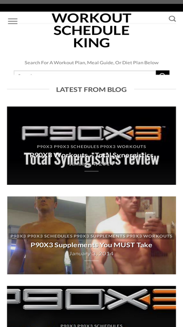 workoutscheduleking.com