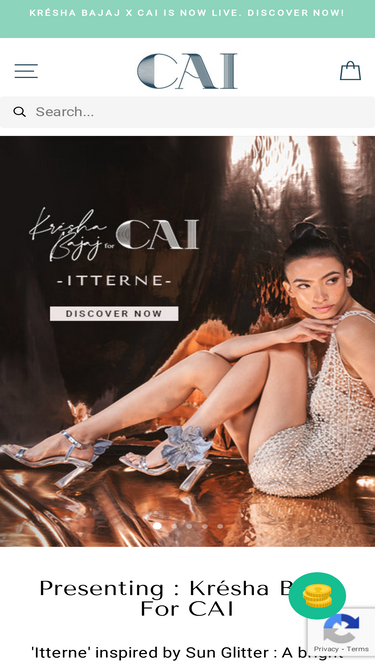 thecaistore.com