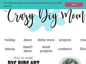crazydiymom.com