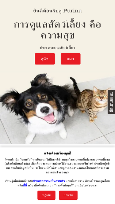 purina.co.th