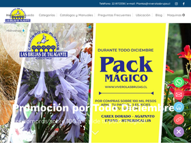 viverolasbrujas.cl