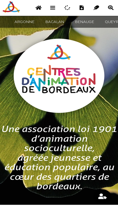 centresanimationbordeaux.fr