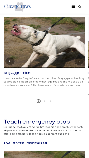 chicagopaws.com