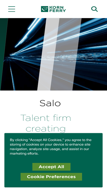 salollc.com