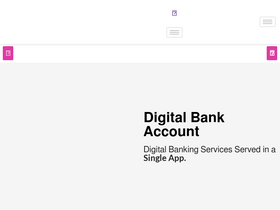 'rapipay.com' screenshot