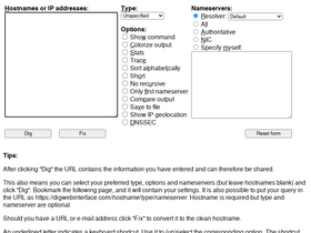 'digwebinterface.com' screenshot