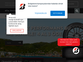 'bridgestone.com.tr' screenshot