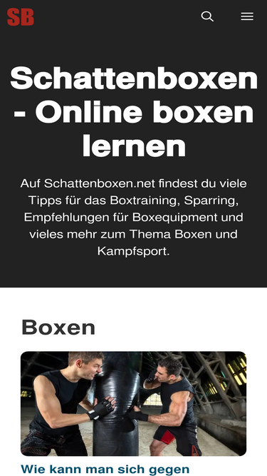 schattenboxen.net