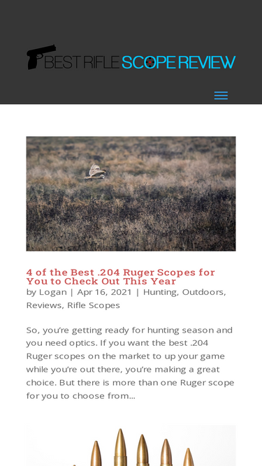 bestriflescopereview.com