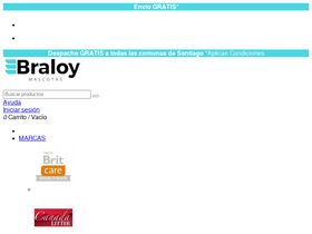 'braloy.cl' screenshot