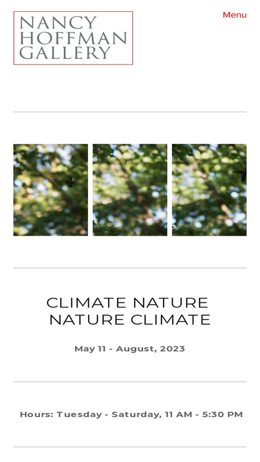nancyhoffmangallery.com