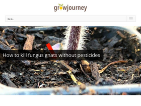 'growjourney.com' screenshot
