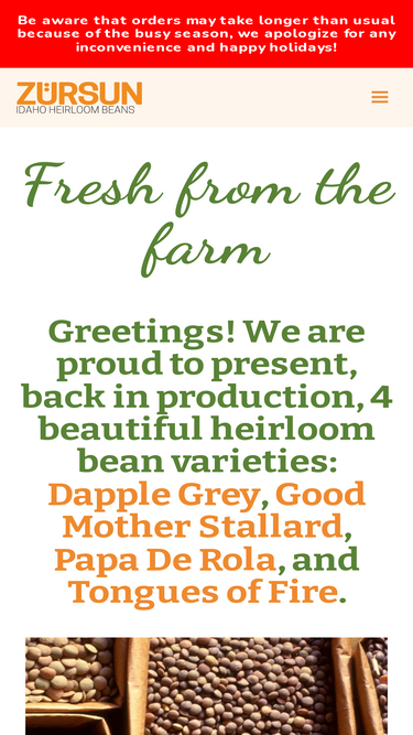 zursunbeans.com