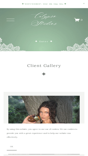 calypsostudios.co
