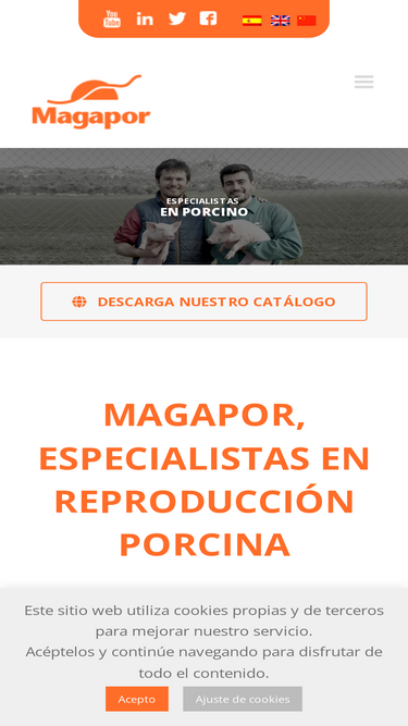 magapor.com