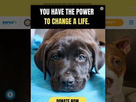 'rspcansw.org.au' screenshot