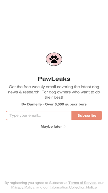 pawleaks.substack.com