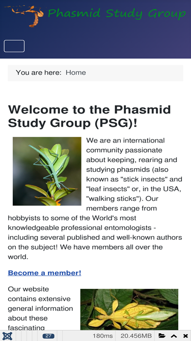 phasmidstudygroup.org