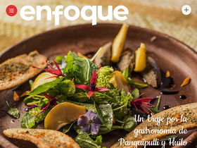 'revistaenfoque.cl' screenshot