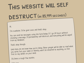 'thiswebsitewillselfdestruct.com' screenshot