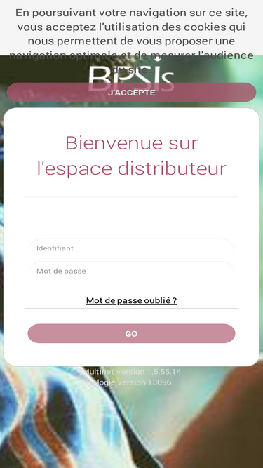 bpsis.fr