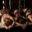 neworleanshustlerclub.com