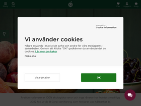 'arstiderna.com' screenshot