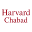 chabadharvard.org