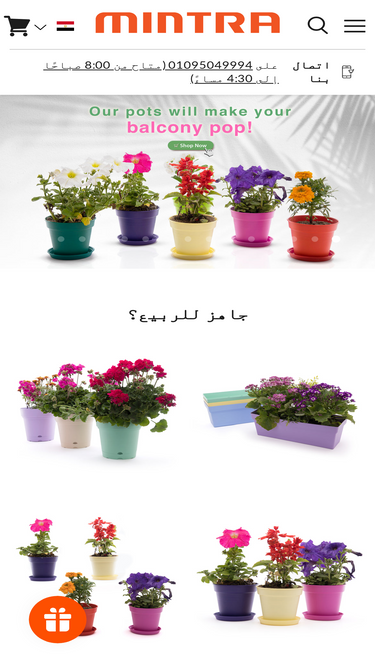 mintra.com.eg