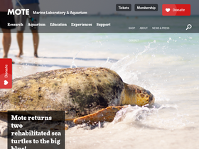 'mote.org' screenshot
