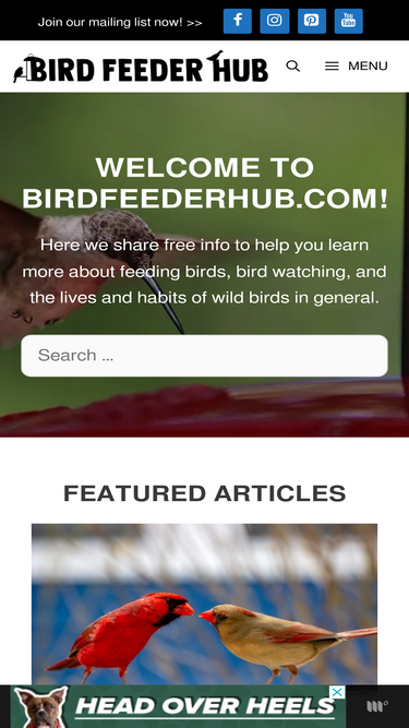 birdfeederhub.com
