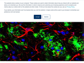 'cellsignal.cn' screenshot