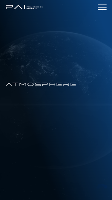 paymentallianceintl.com