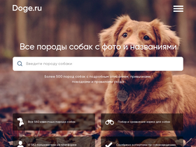 'doge.ru' screenshot